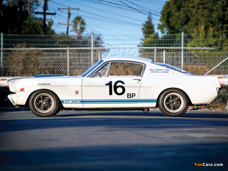 Shelby GT350R 1965 wallpapers (800 x 600)