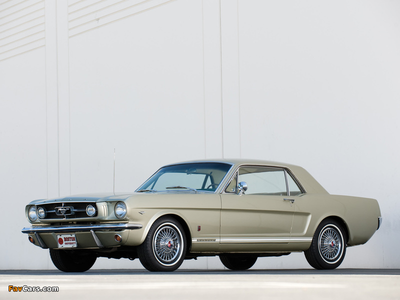 Mustang GT Coupe 1965 wallpapers (800 x 600)