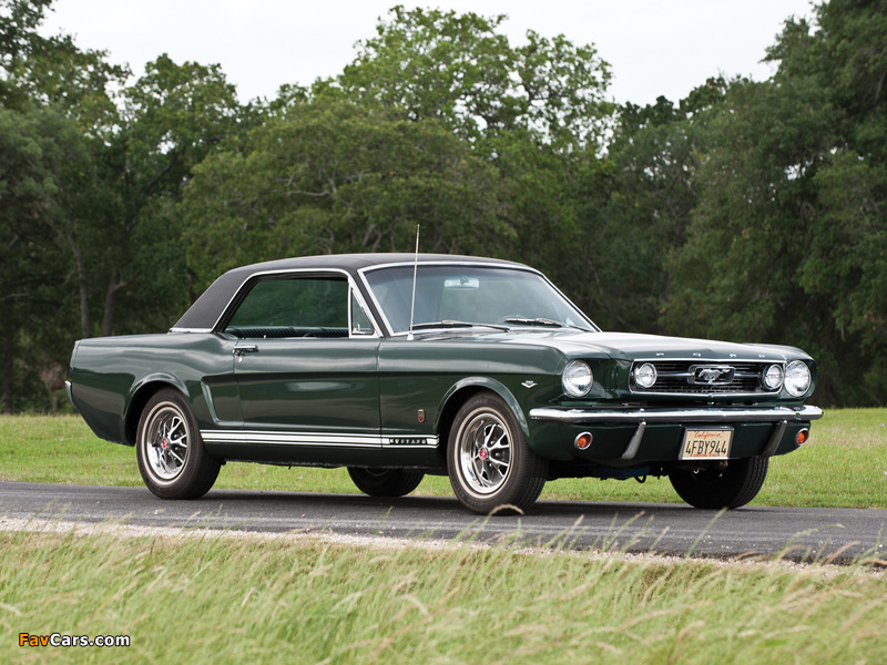 Mustang GT Coupe 1966 images (800 x 600)