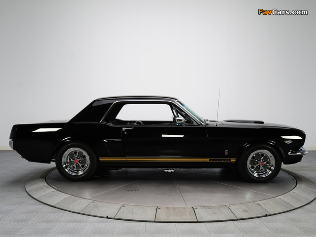 Mustang GT Coupe 1966 images (640 x 480)