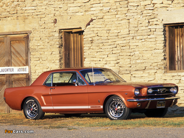 Mustang GT Coupe 1966 photos (640 x 480)