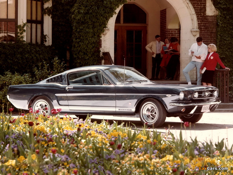 Mustang GT Fastback 1966 photos (800 x 600)