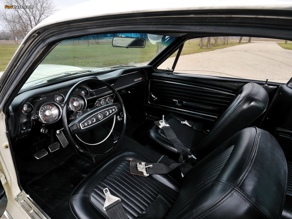 Mustang Lightweight 428/335 HP Tasca Car 1967 images (1024 x 768)