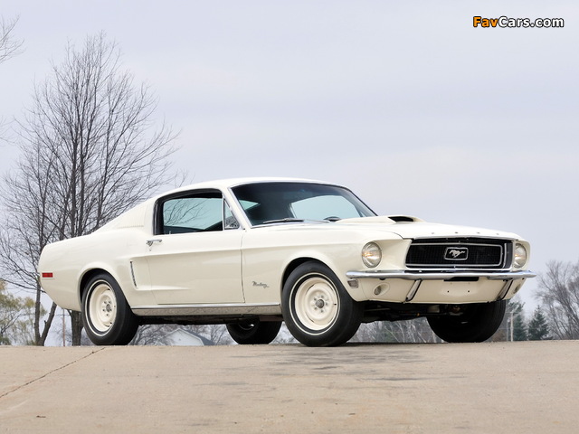 Mustang Lightweight 428/335 HP Tasca Car 1967 images (640 x 480)