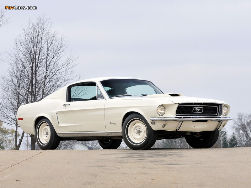 Mustang Lightweight 428/335 HP Tasca Car 1967 images (800 x 600)