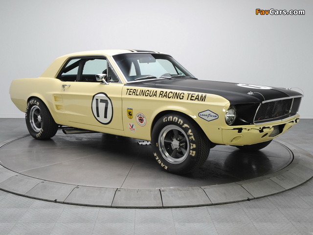Mustang Coupe Race Car (65B) 1967 images (640 x 480)