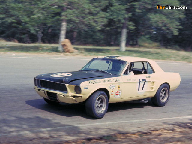 Mustang Coupe Race Car (65B) 1967 images (640 x 480)