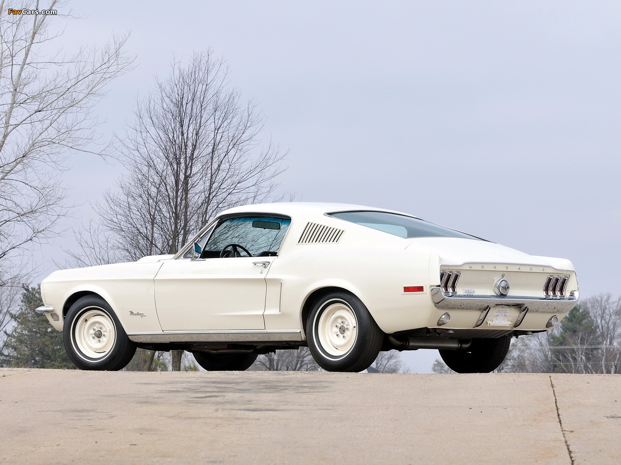 Mustang Lightweight 428/335 HP Tasca Car 1967 photos (1280 x 960)