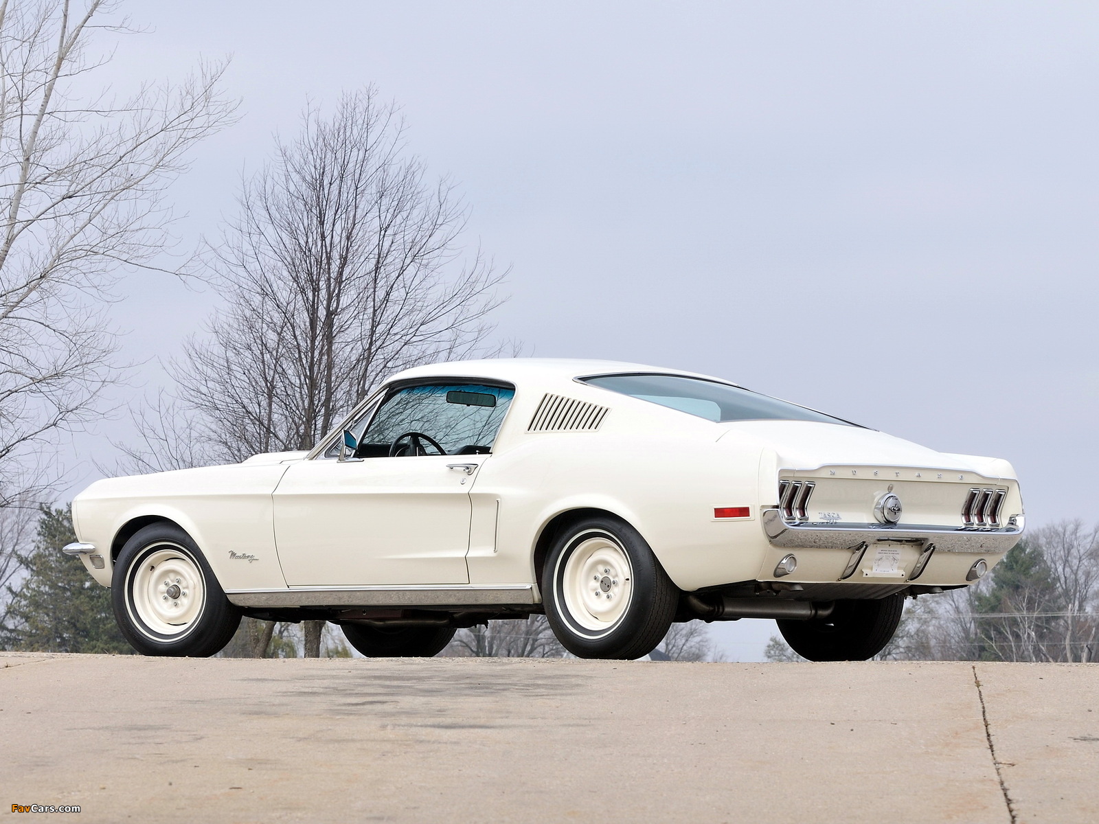 Mustang Lightweight 428/335 HP Tasca Car 1967 photos (1600 x 1200)