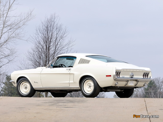 Mustang Lightweight 428/335 HP Tasca Car 1967 photos (640 x 480)