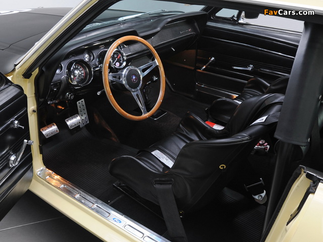 Mustang Coupe Race Car (65B) 1967 photos (640 x 480)