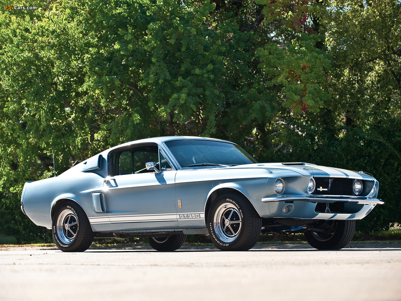 Shelby GT350 1967 photos (1280 x 960)