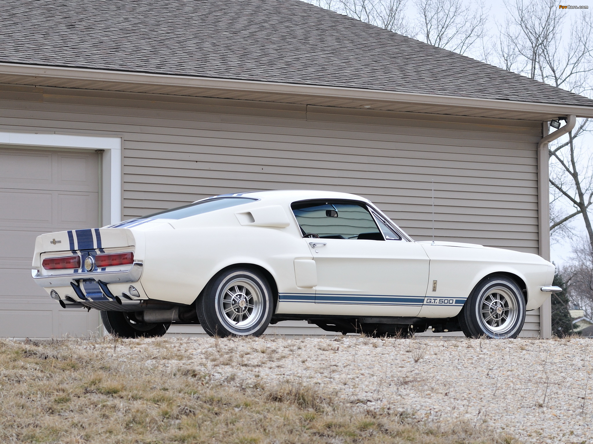 Shelby GT500 Super Snake 1967 pictures (2048 x 1536)