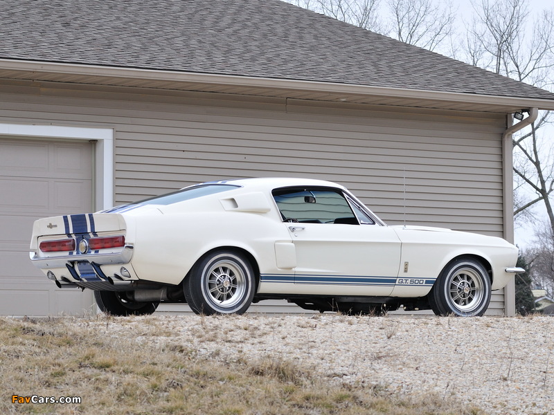 Shelby GT500 Super Snake 1967 pictures (800 x 600)