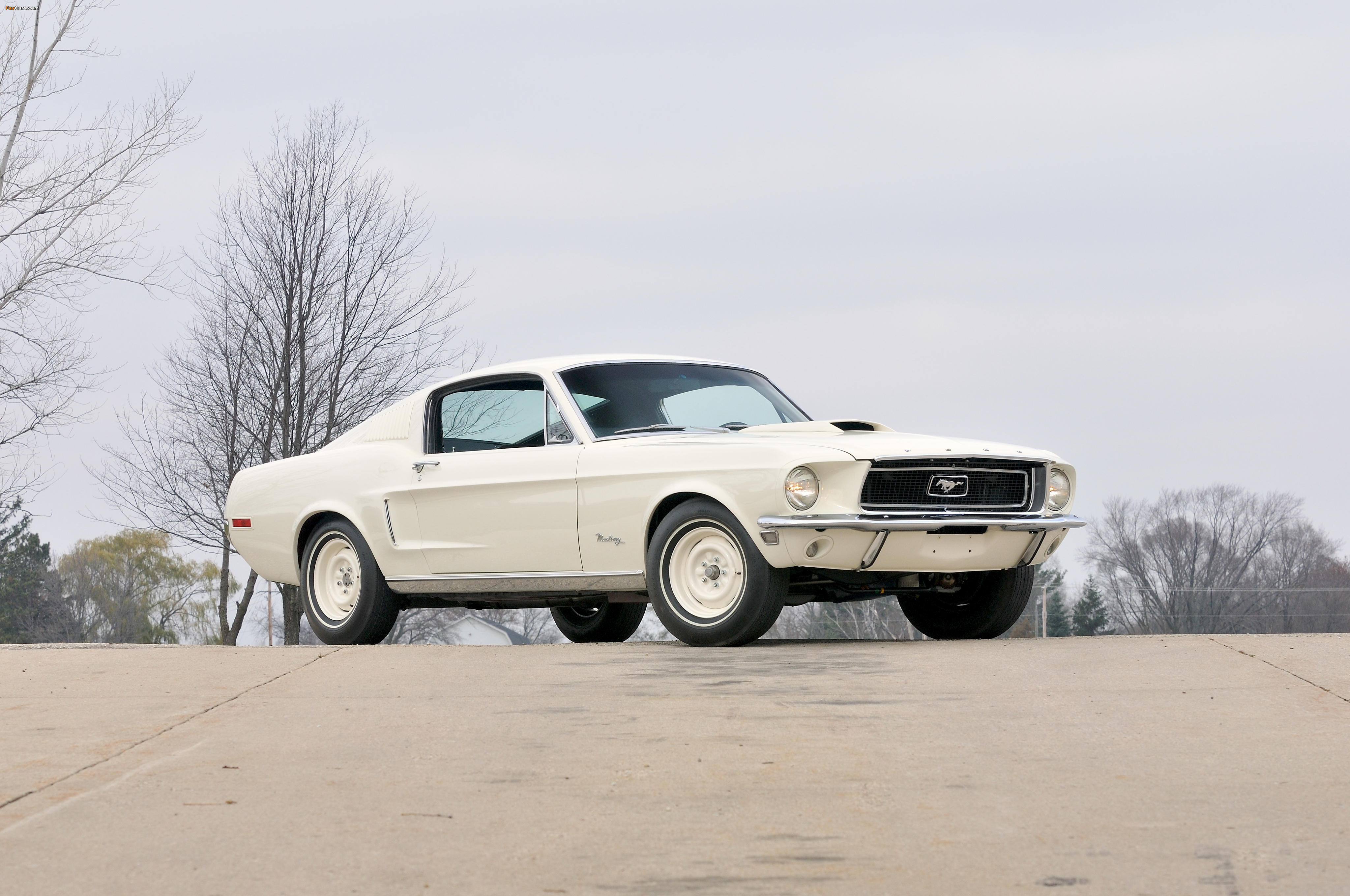 Ford Mustang Lightweight 428/335 HP Tasca Car 1968 photos (4096 x 2720)