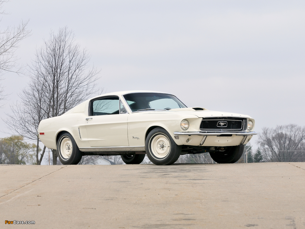 Ford Mustang Lightweight 428/335 HP Tasca Car 1968 photos (1024 x 768)