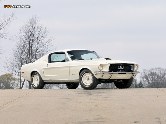Ford Mustang Lightweight 428/335 HP Tasca Car 1968 photos (640 x 480)