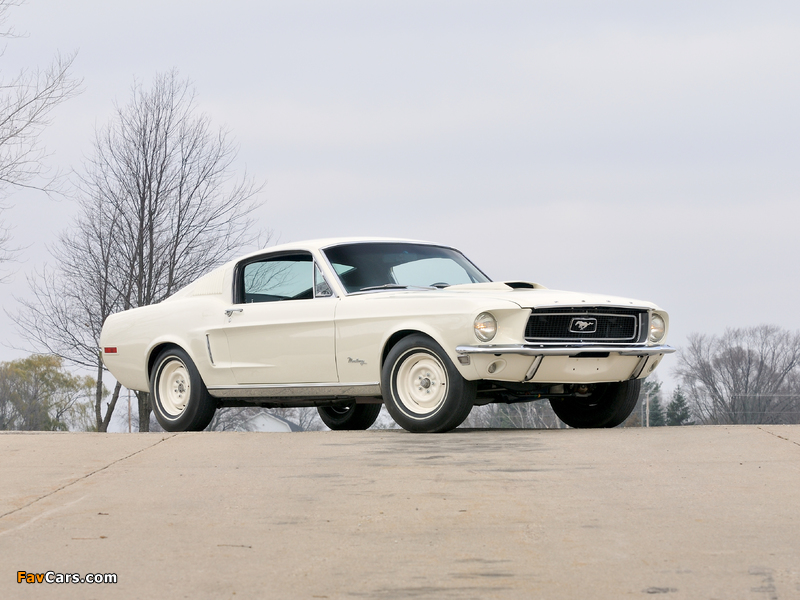 Ford Mustang Lightweight 428/335 HP Tasca Car 1968 photos (800 x 600)