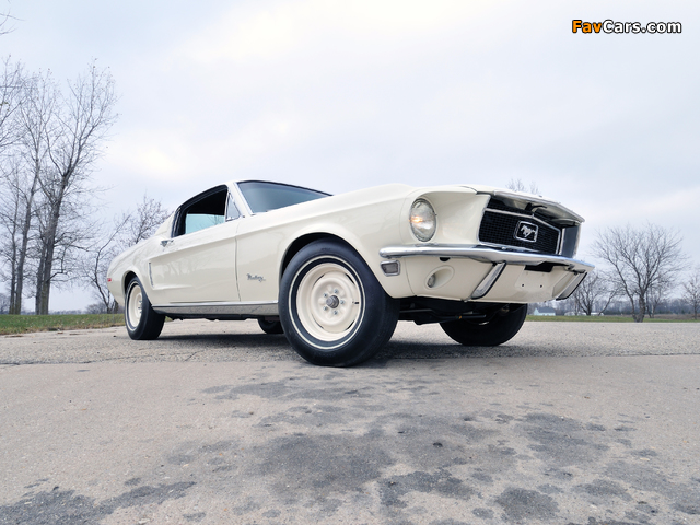 Ford Mustang Lightweight 428/335 HP Tasca Car 1968 photos (640 x 480)