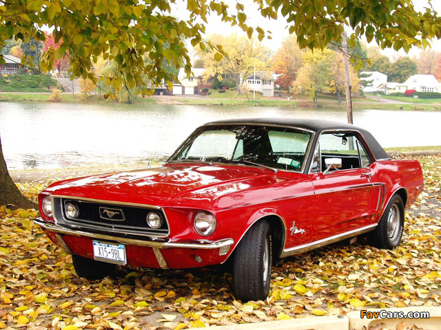 Mustang Coupe 1968 photos (640 x 480)