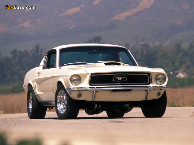 Mustang Fastback 1968 pictures (640 x 480)