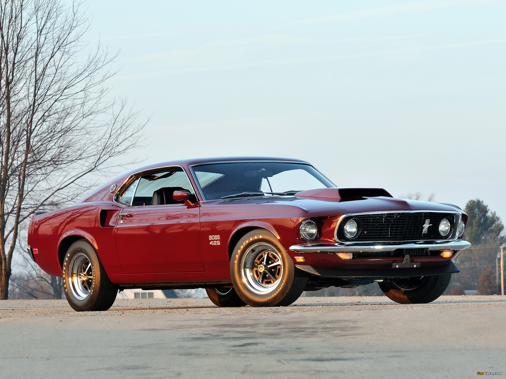 Mustang Boss 429 1969 images (2048 x 1536)