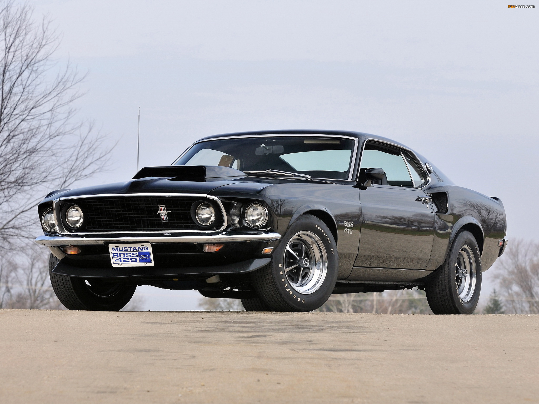 Mustang Boss 429 1969 photos (2048 x 1536)