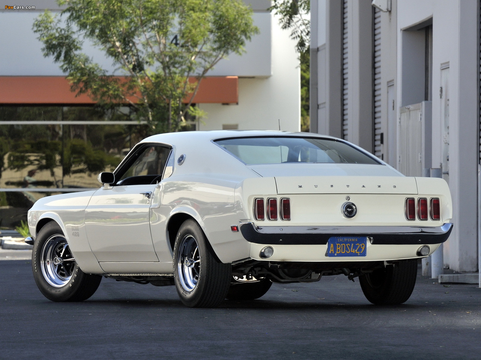 Mustang Boss 429 1969 pictures (1600 x 1200)
