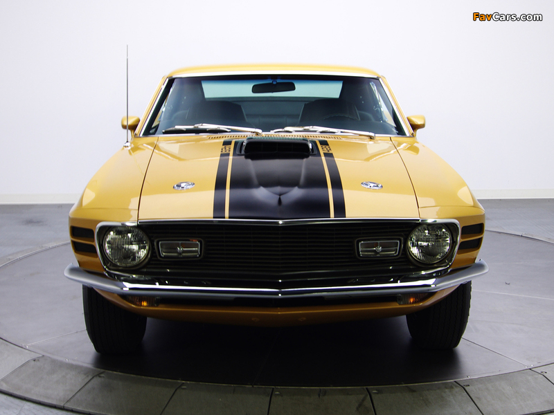 Mustang Mach 1 428 Super Cobra Jet 1970 images (800 x 600)