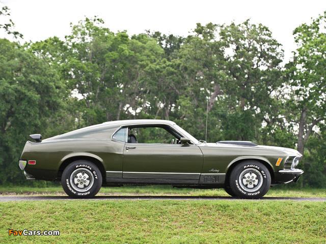 Mustang Mach 1 1970 photos (640 x 480)