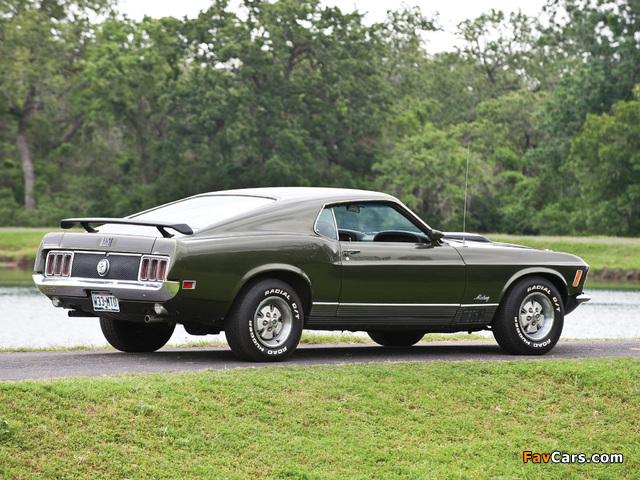 Mustang Mach 1 1970 pictures (640 x 480)