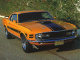 Mustang Mach 1 Twister Special 1970 wallpapers
