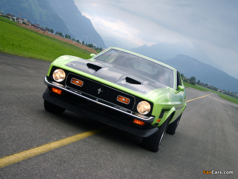Mustang Boss 351 1971 images (800 x 600)