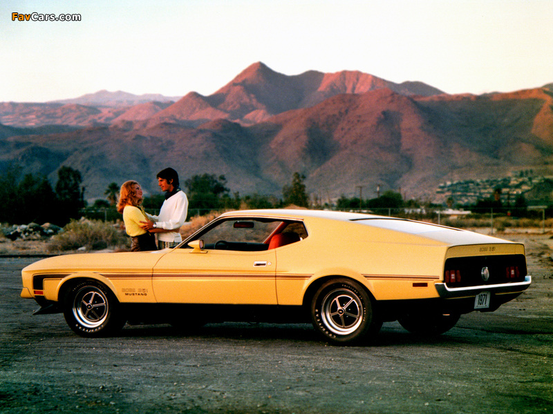 Mustang Boss 351 1971 photos (800 x 600)