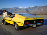 Mustang Boss 351 1971 photos