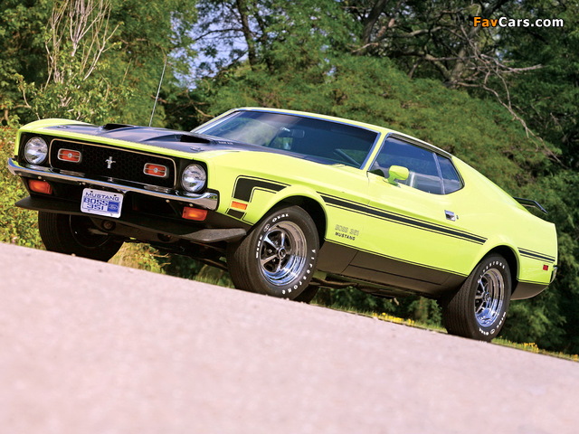 Mustang Boss 351 1971 pictures (640 x 480)
