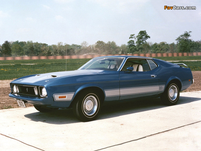 Mustang Mach 1 1973 photos (640 x 480)