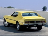 Mustang Coupe 1973 photos