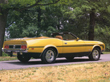 Mustang Convertible 1973 pictures