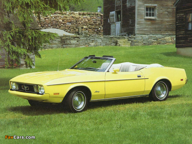 Mustang Convertible 1973 pictures (640 x 480)