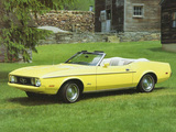 Mustang Convertible 1973 pictures