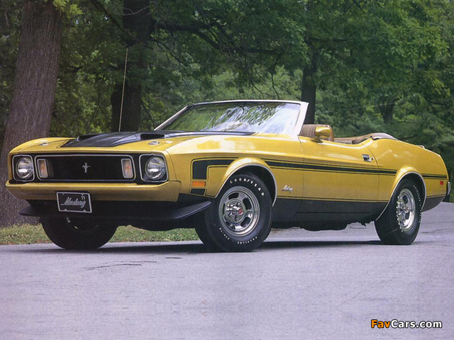 Mustang Convertible 1973 wallpapers (640 x 480)