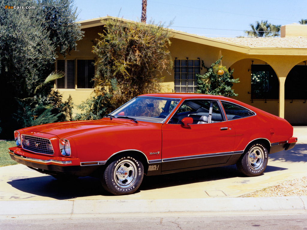 Mustang Mach 1 1974 photos (1024 x 768)