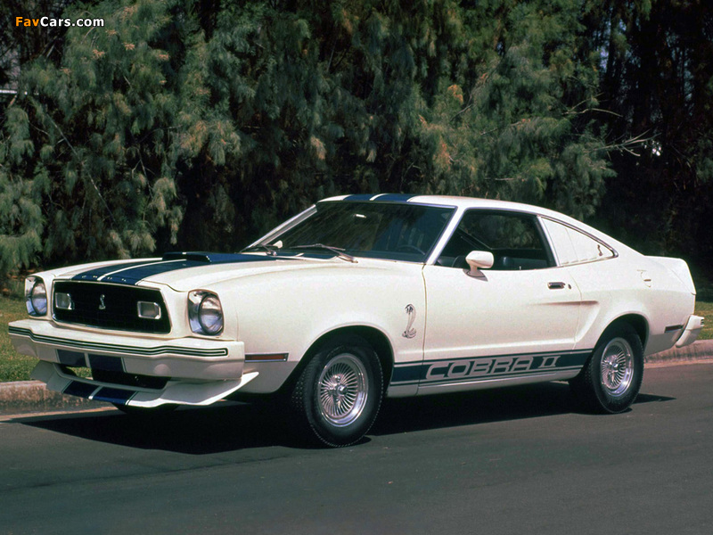 Mustang Cobra II 1977 photos (800 x 600)