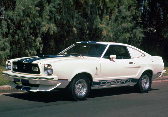 Mustang Cobra II 1977 photos