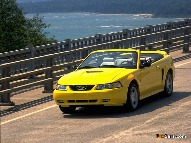 Mustang GT Convertible 1999–2004 photos (640 x 480)