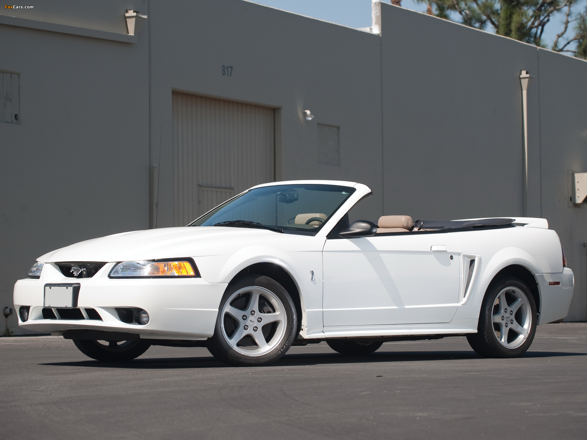 Mustang SVT Cobra Convertible 1999–2002 photos (2048 x 1536)