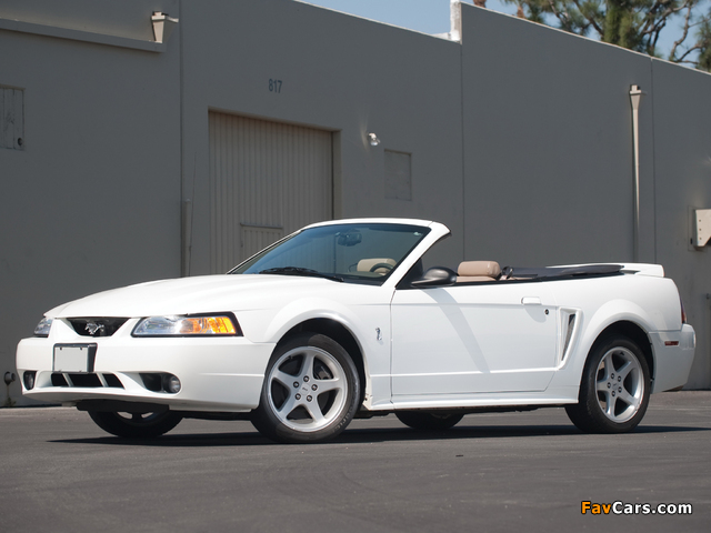 Mustang SVT Cobra Convertible 1999–2002 photos (640 x 480)
