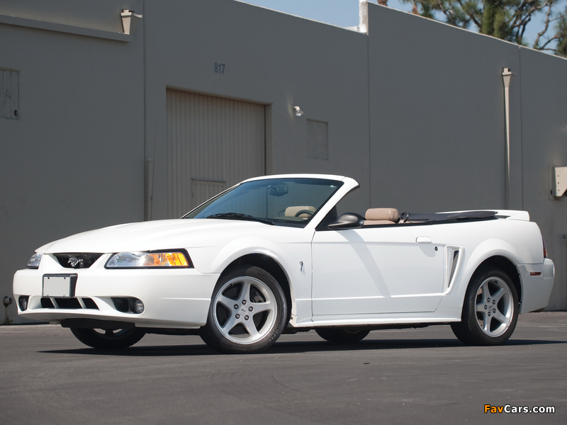 Mustang SVT Cobra Convertible 1999–2002 photos (800 x 600)