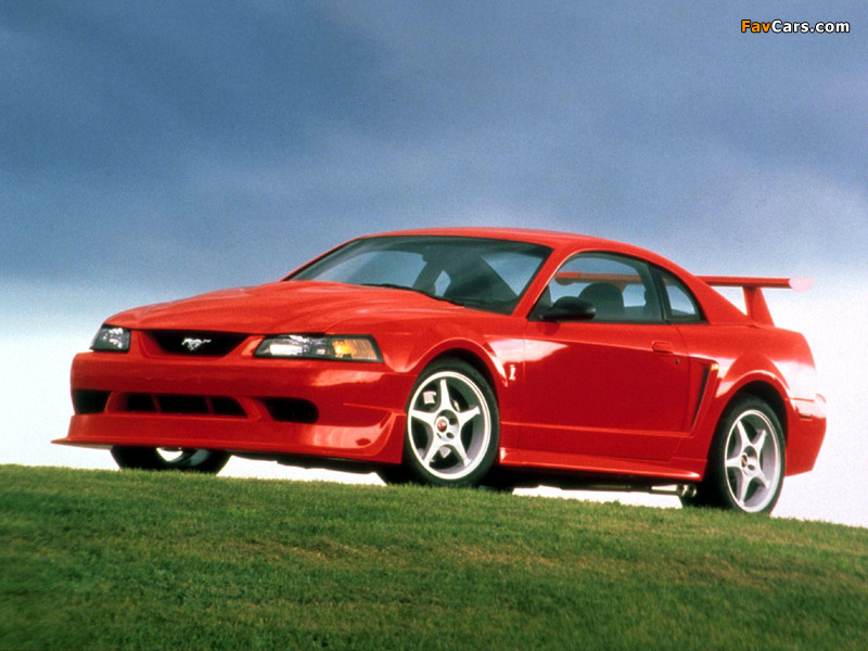 Mustang SVT Cobra R 2000–04 pictures (800 x 600)
